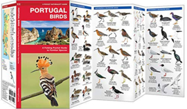Portugal - Oiseaux