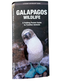 Galapagos - Dieren