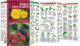 Edible Wild Plants