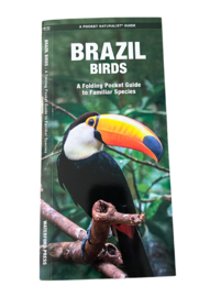 Brasilien Vögel