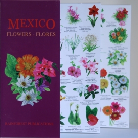 México - Flores