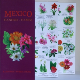 Mexico - Flowers