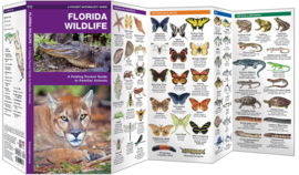 Florida wildlife guide