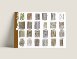 Herkenningskaart boomschors