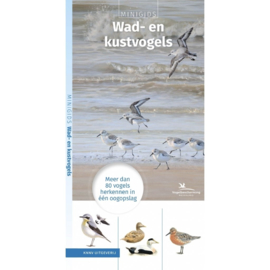 Minigids Wad- en Kustvogels