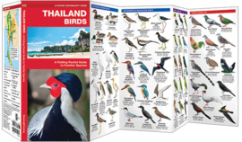 Guide Oiseaux de Thailande