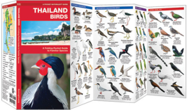 Tailandia - Aves