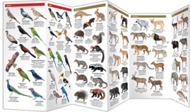 Guide des animaux en Inde