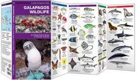 Guide des animaux des Galapagos