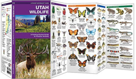 Utah - Wildlife