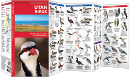 Oiseaux de l'Utah