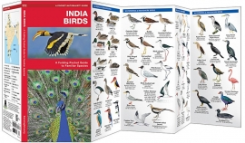 Indien Vögel