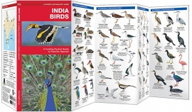 Guide des oiseaux en Inde