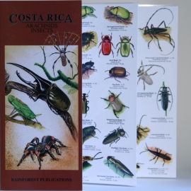 Guide des araignées et insectes du Costa Rica