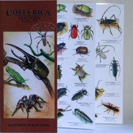 Costa Rica - Arácnidos e insectos