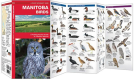 Manitoba - Vogels