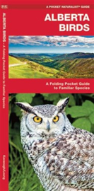 Guide des oiseaux en Alberta