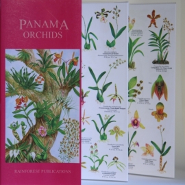 Guide des orchidées du Panama