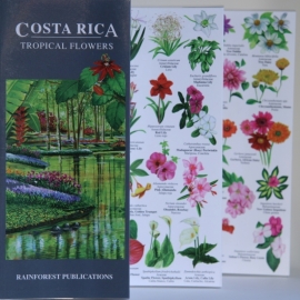 Costa Rica - Tropische Blumen