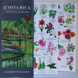 Guide des fleurs du Costa Rica