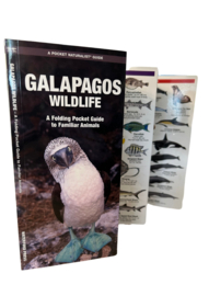 Galapagos Tiere