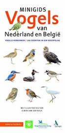 Miniführer Vögel in den Niederlanden und Belgien