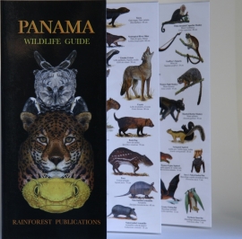 Guide des animaux du Panama