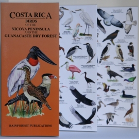 Costa Rica - Vögel Nicoya und Guanacaste