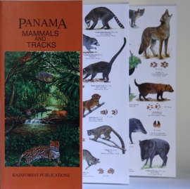 Guide des mammifères du Panama