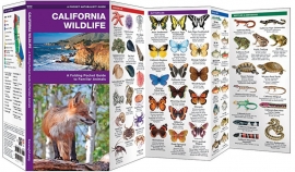 Wildlife in California