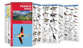 Vögel in Frankreich