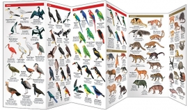 Guide des animaux d'Amazonie