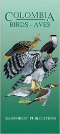 Oiseaux de Colombie