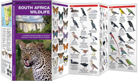 Tiere im südlichen Afrika