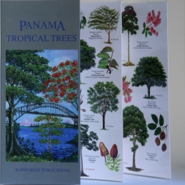 Guide des arbres du Panama