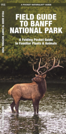 Guide du Parc national de Banff
