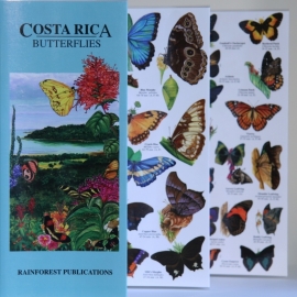 Guide des papillons du Costa Rica