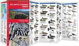 Aves Provincias atlánticas de Canadá