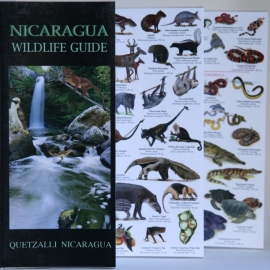 Guides des animaux du Nicaragua