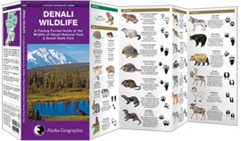 Denali Wildlife Guide
