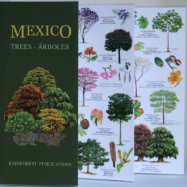 Guide des arbres du Mexique