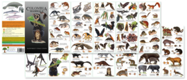 Colombia - Mammals