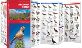 Arizona - Birds