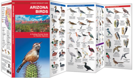 Oiseaux de l'Arizona