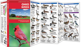 Ohio - Vogels