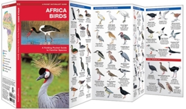 Guide des oiseaux en Afrique