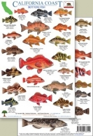 California - Bottom fish
