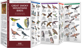 Great Smoky Mountains birds