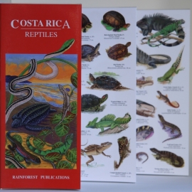 Costa Rica - Reptiles