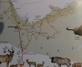 Etoscha Karte und Tierbestimmung